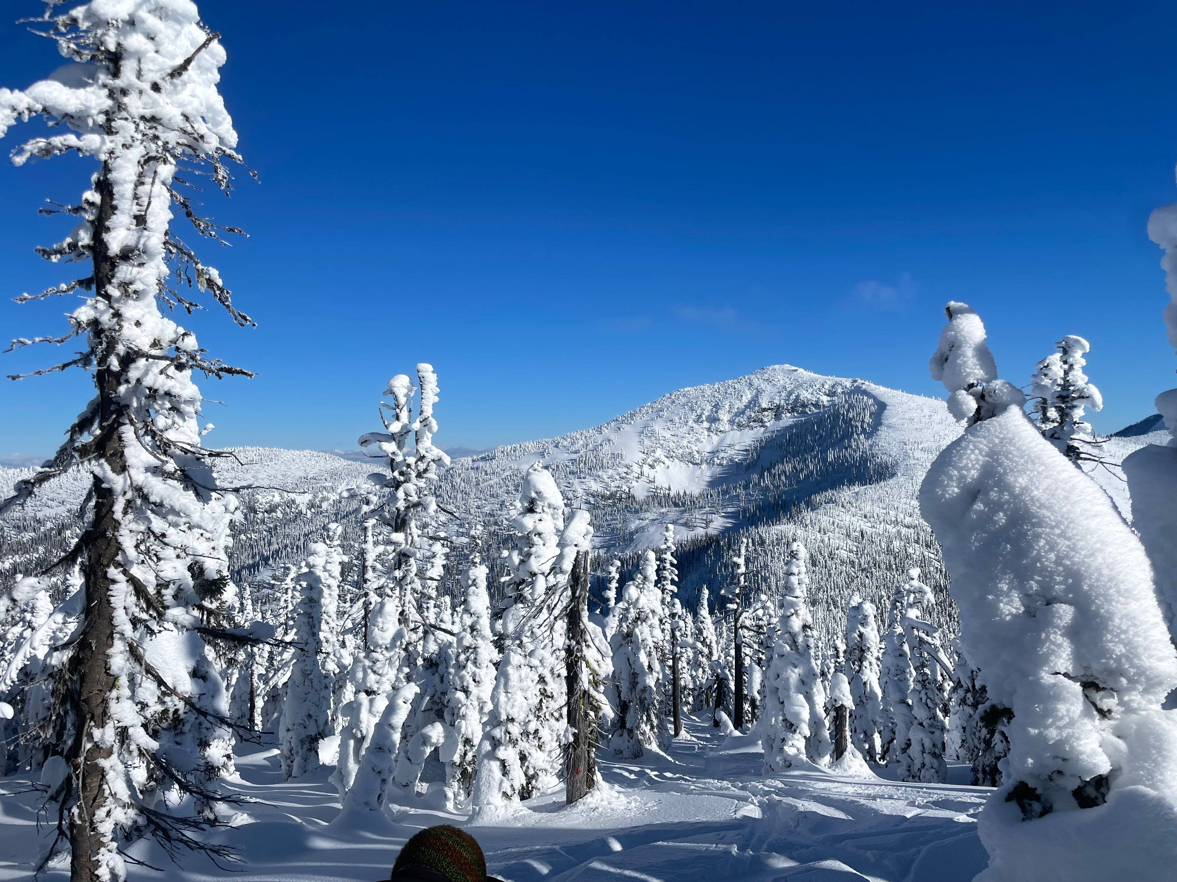 What makes the Selkirk Mountains so attractive to skiers?