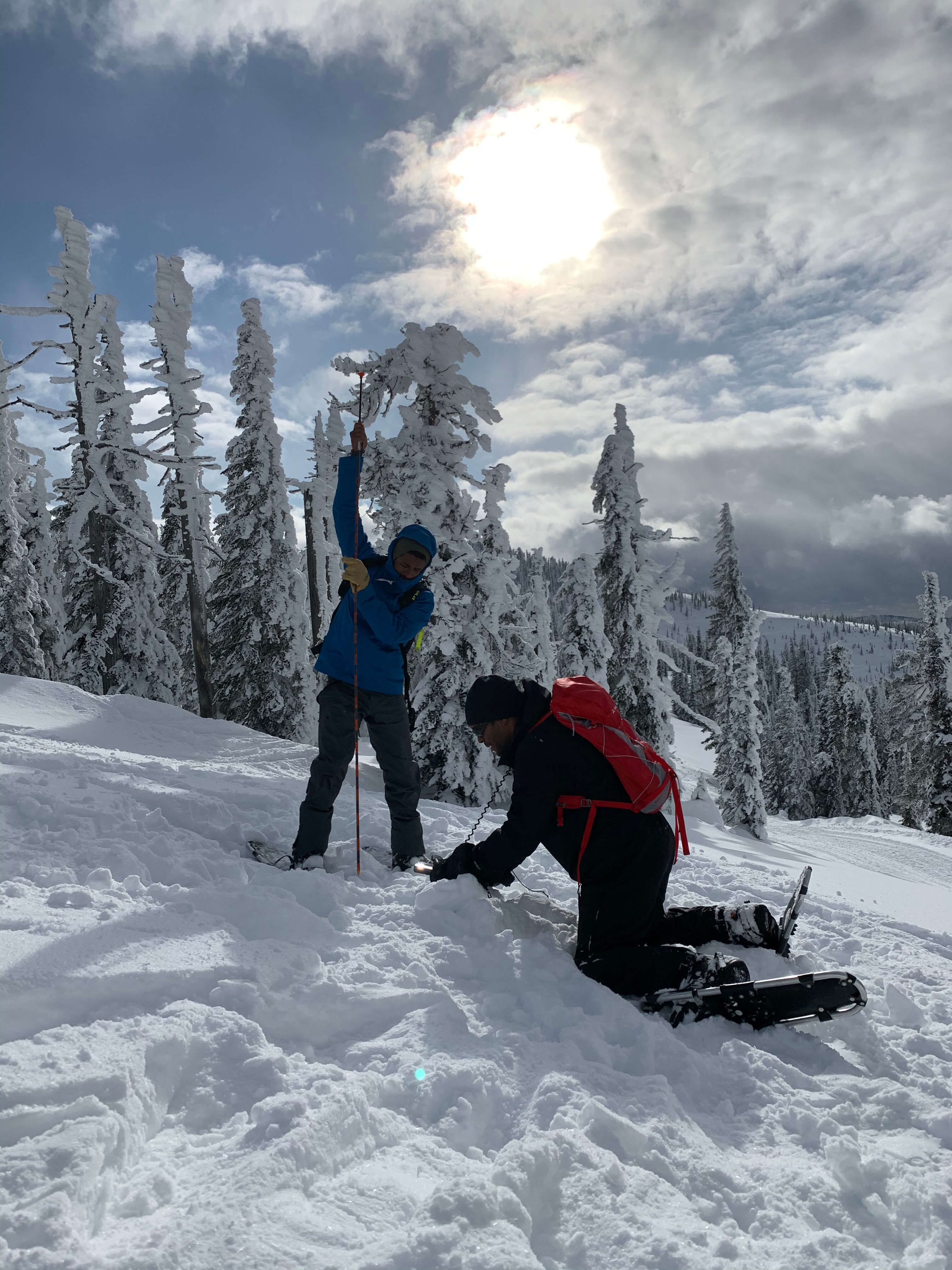 Avalanche rescue fine search