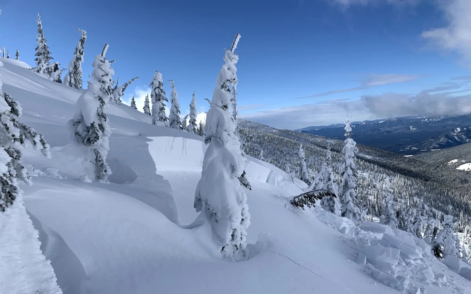 Avalanche Rescue (AIARE)