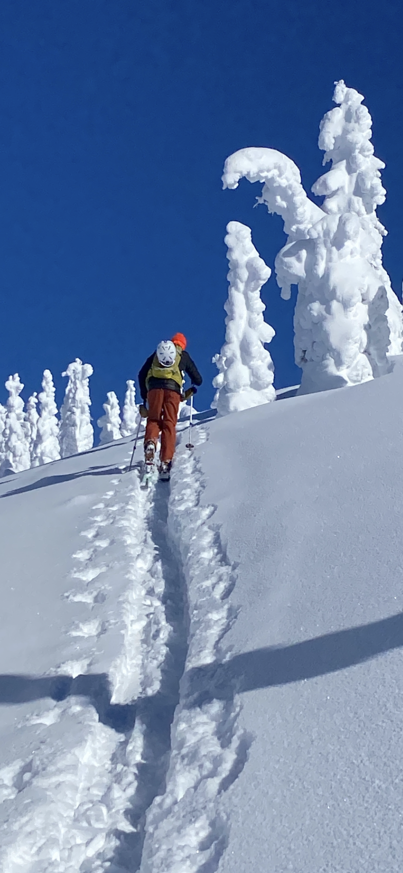 Advanced backcountry touring