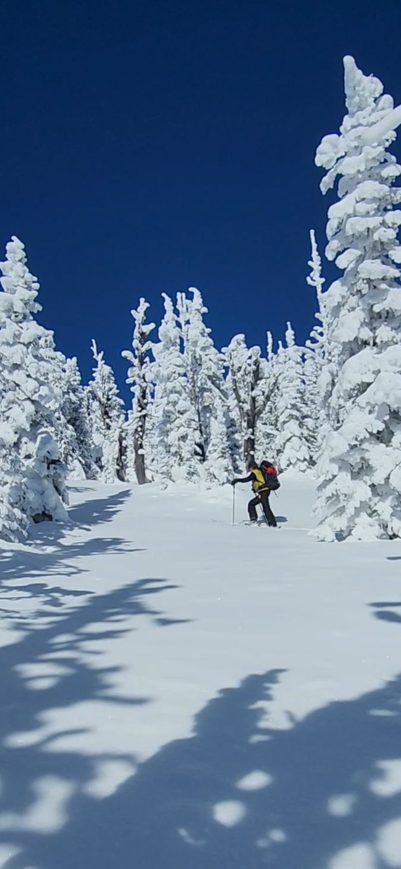 Advanced backcountry touring