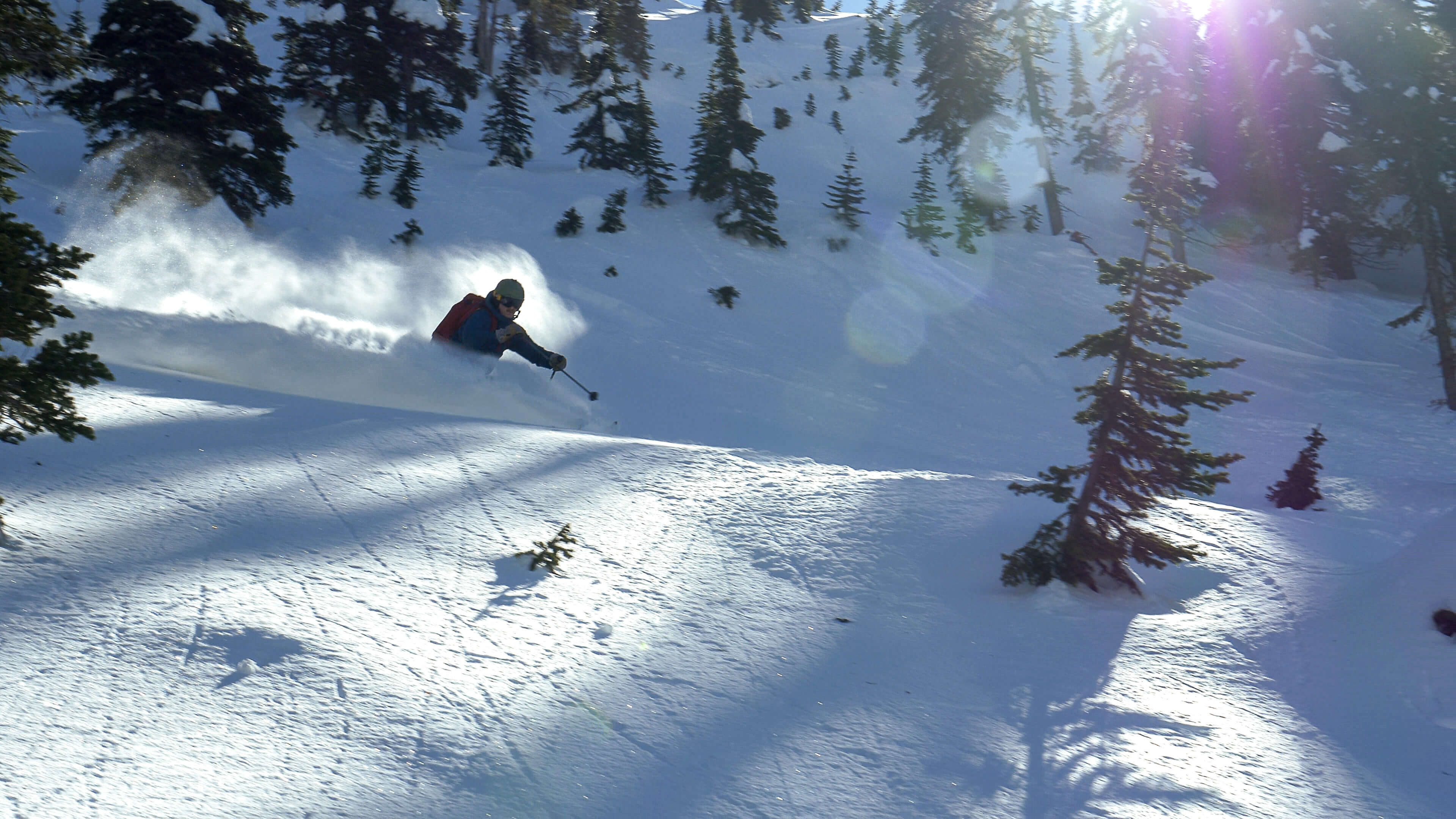Fresh powder in the sun