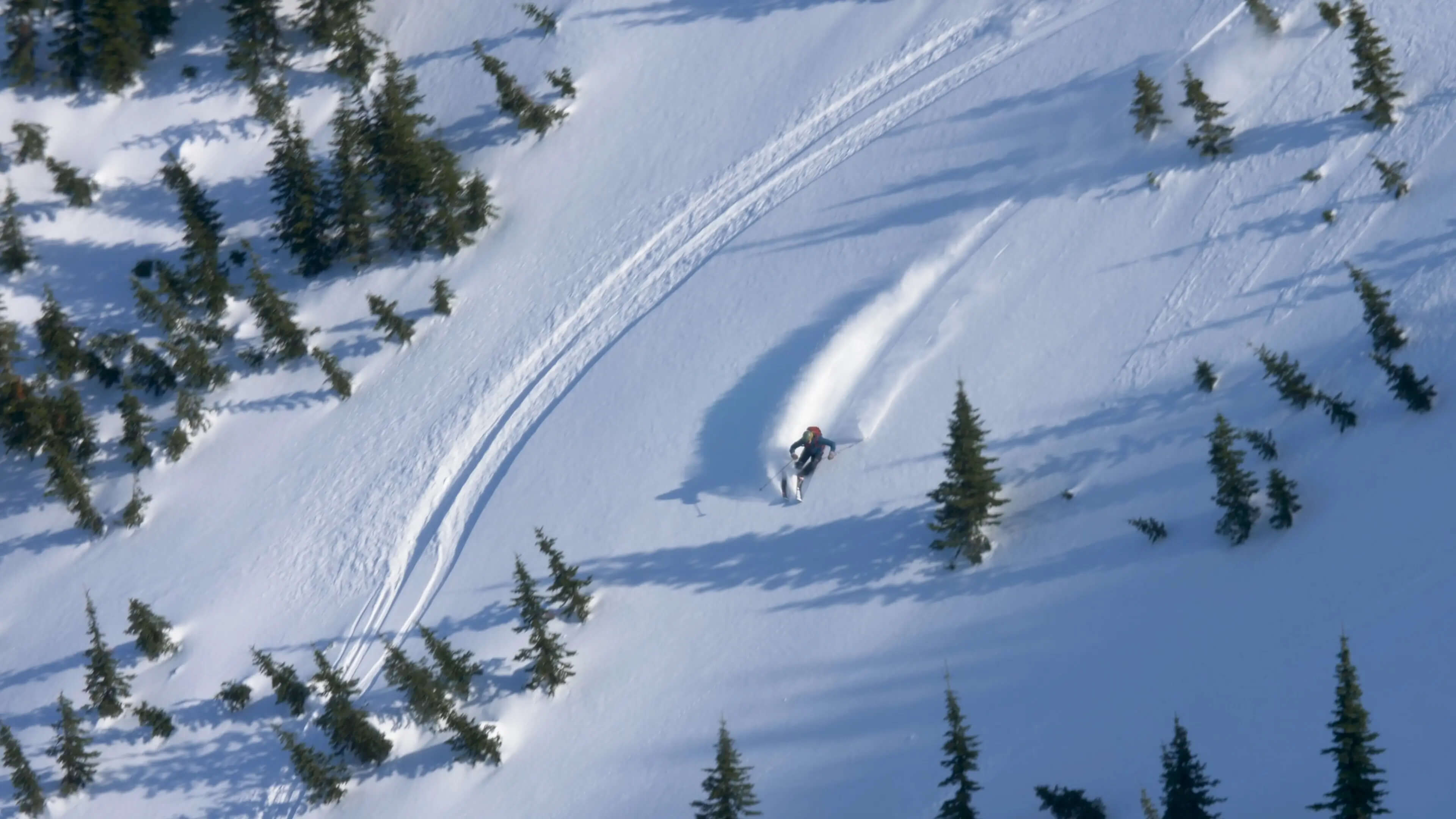 A skier makes open turns in the backcountry