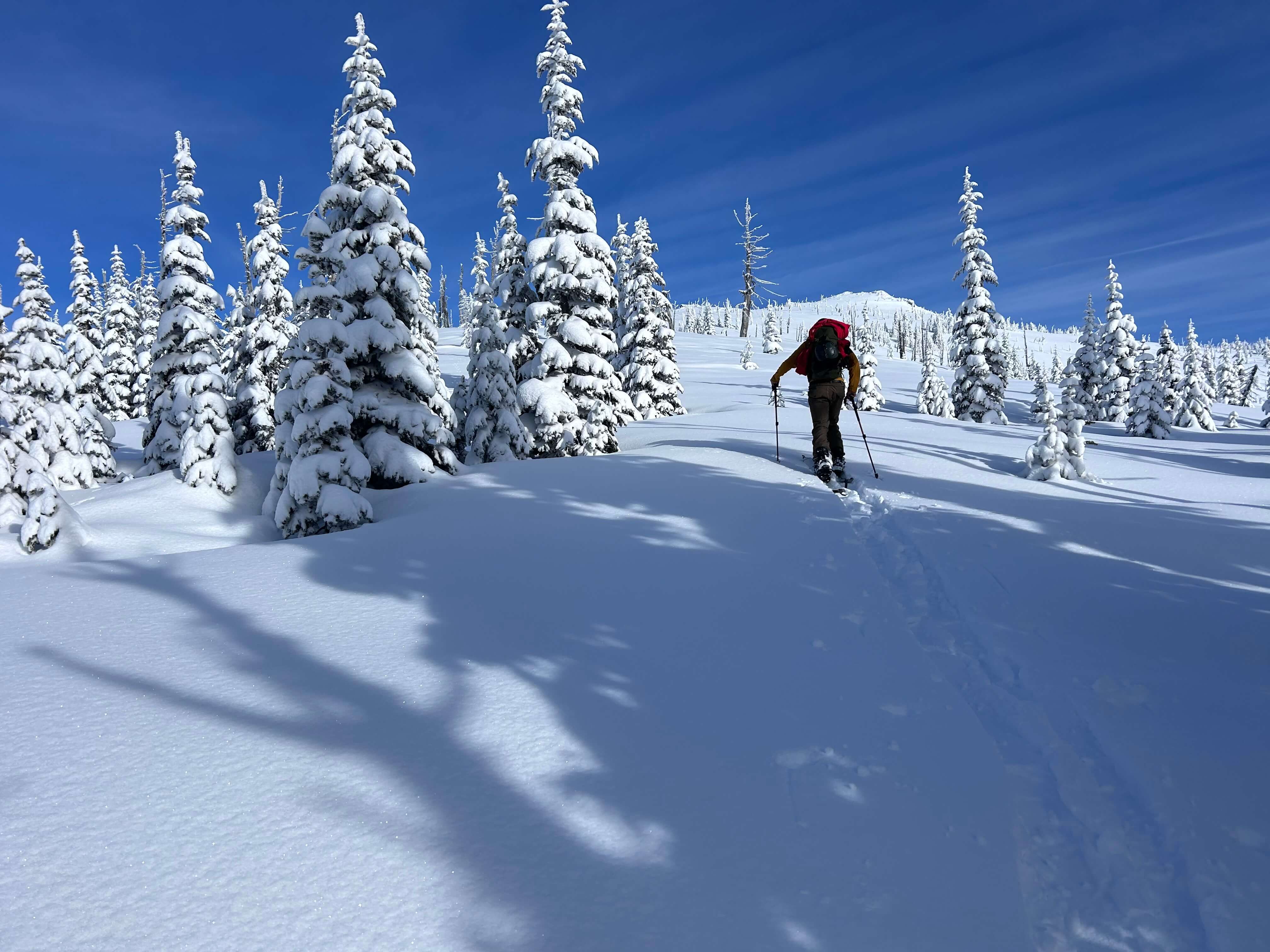 Backcountry ski touring
