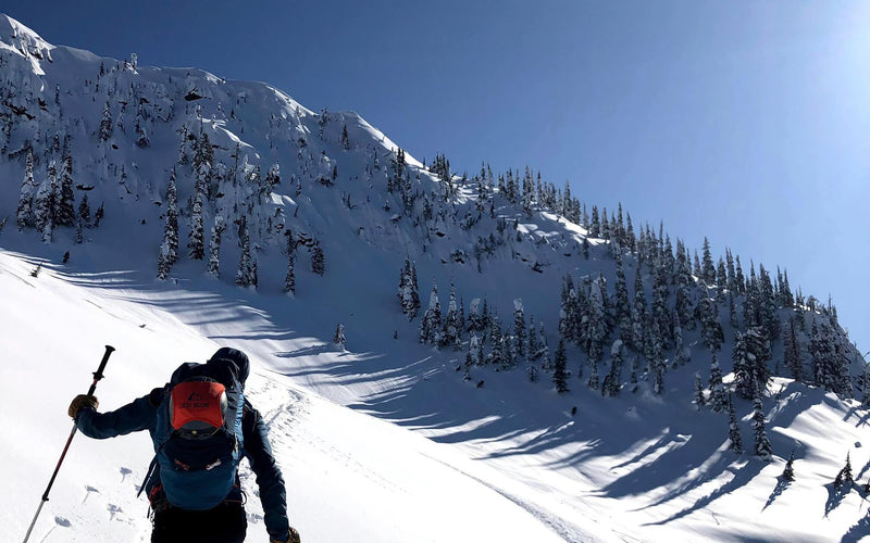 Guided backcountry skiing