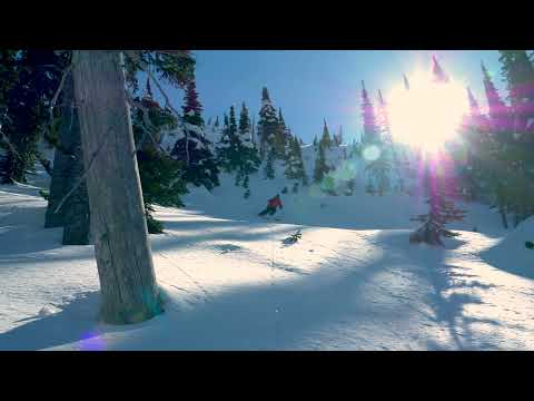 Guided backcountry skiing