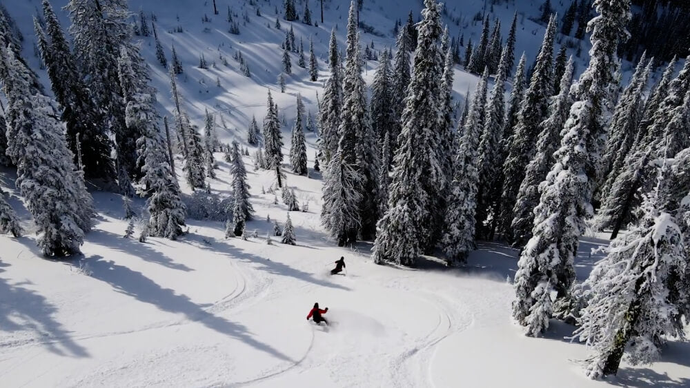 Skiing through trees