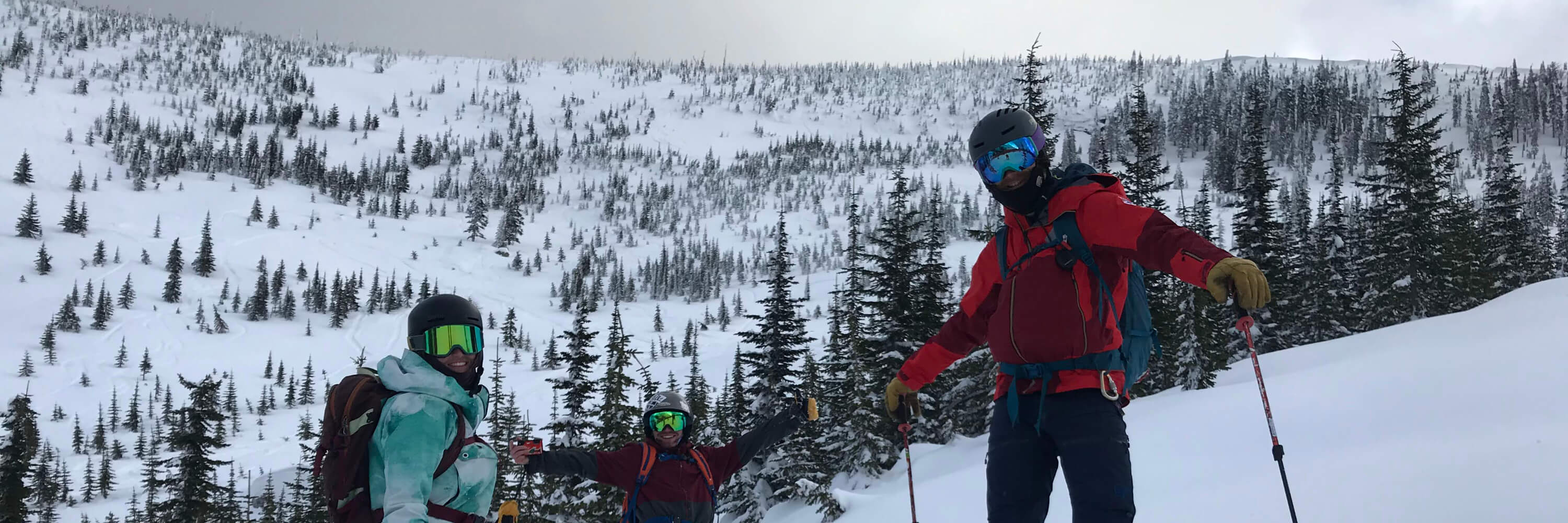 Backcountry skiers