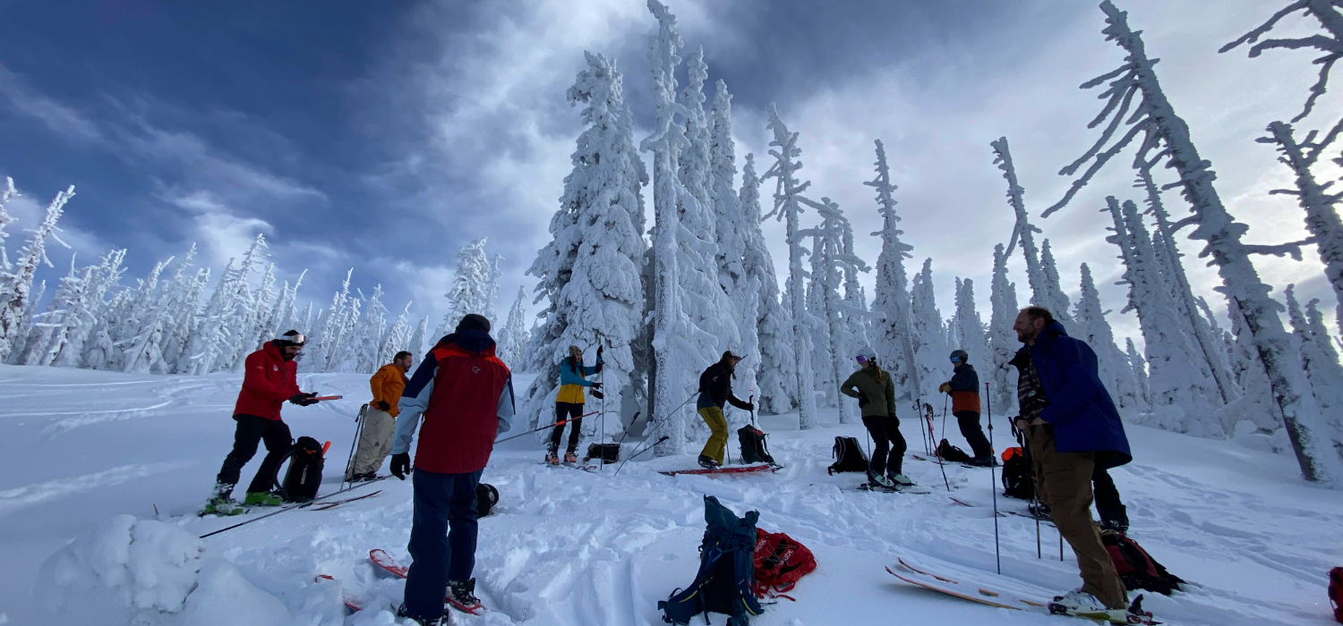 Cat skiing & avalanche safety