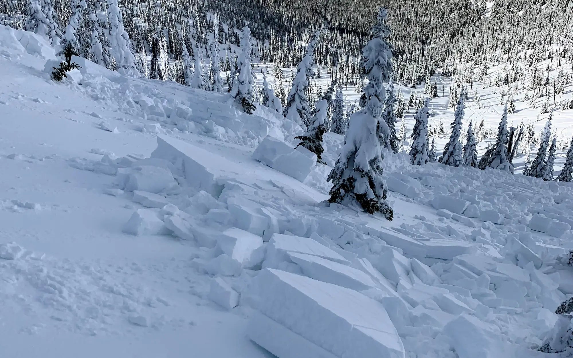 Avalanche Rescue Course (AIARE)