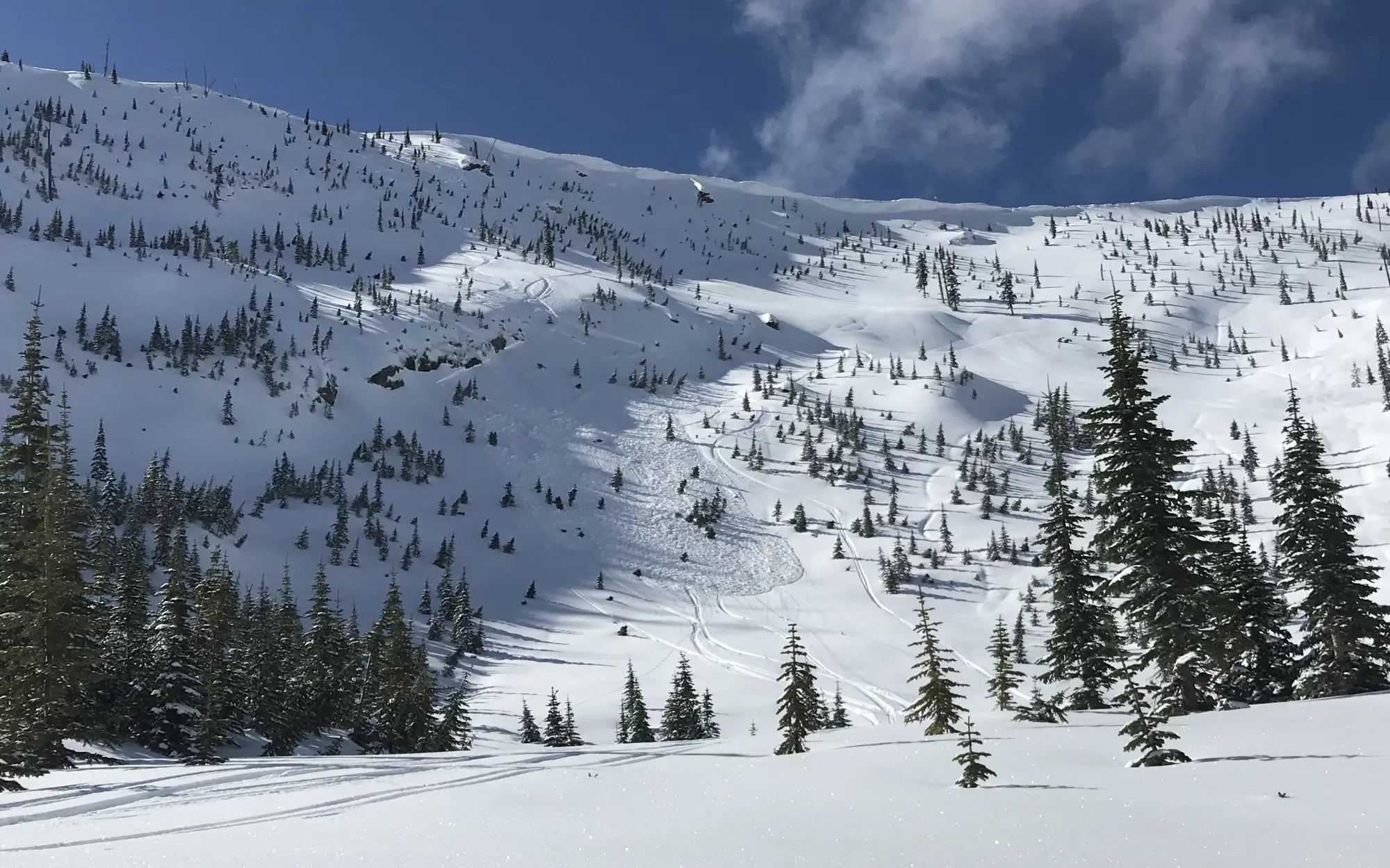 Avalanche Rescue Course (AIARE)