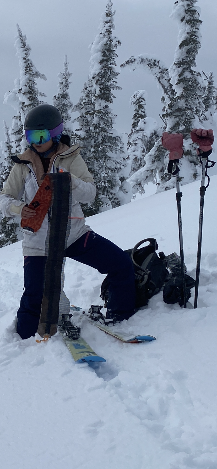 BC101: Introduction to Backcountry Skiing