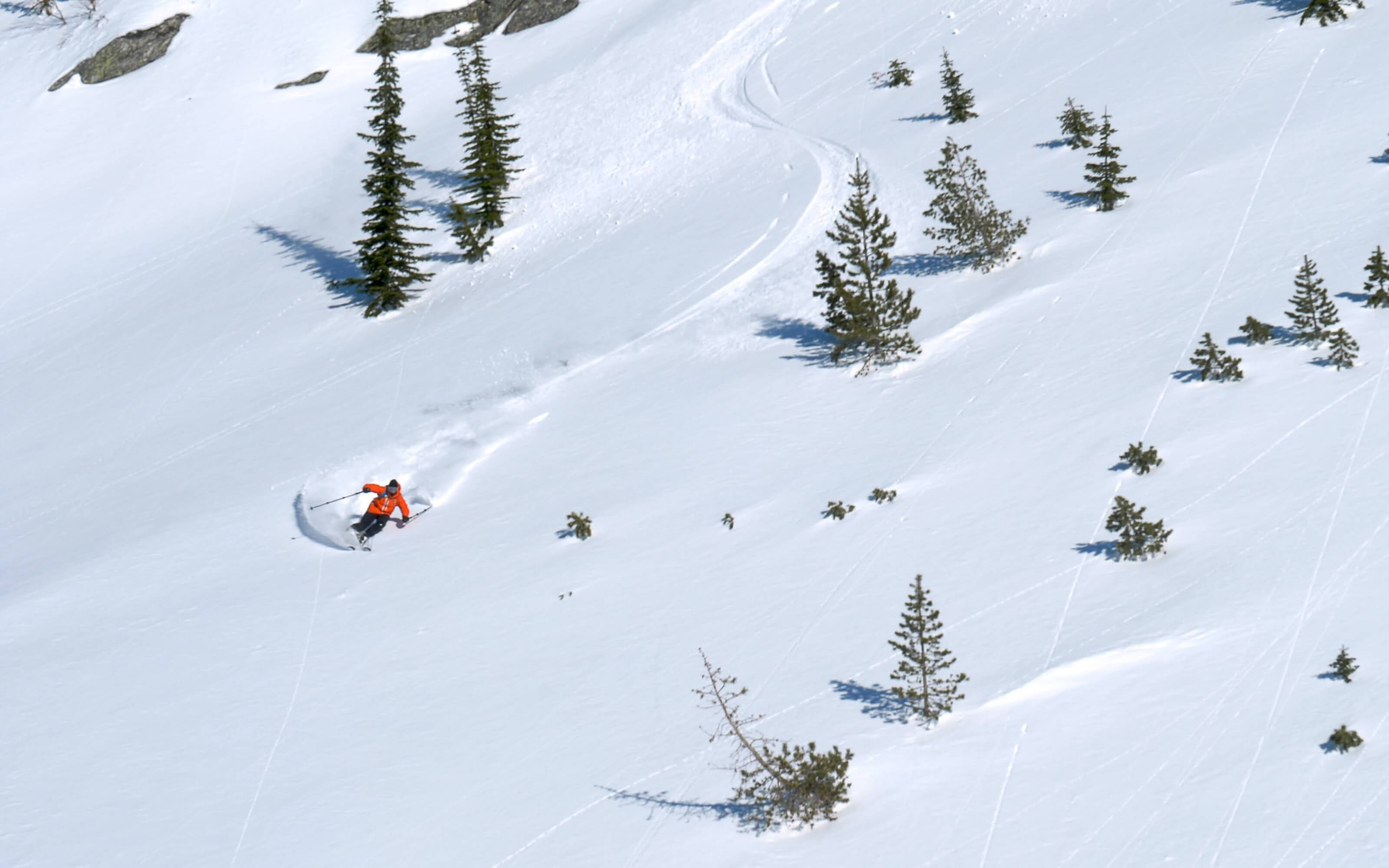 A skier makes big, open turns in the backcountry