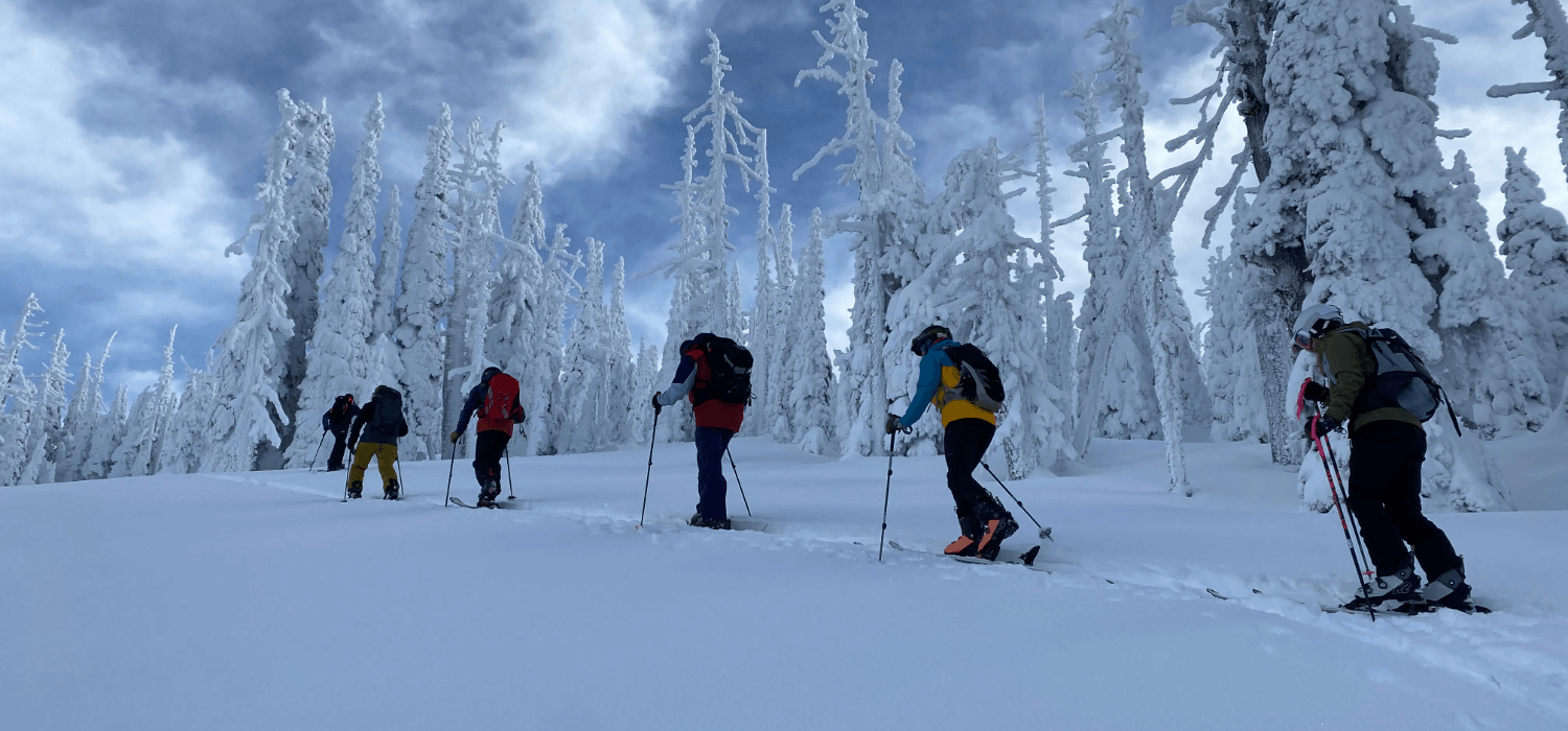 Cat skiing & avalanche safety