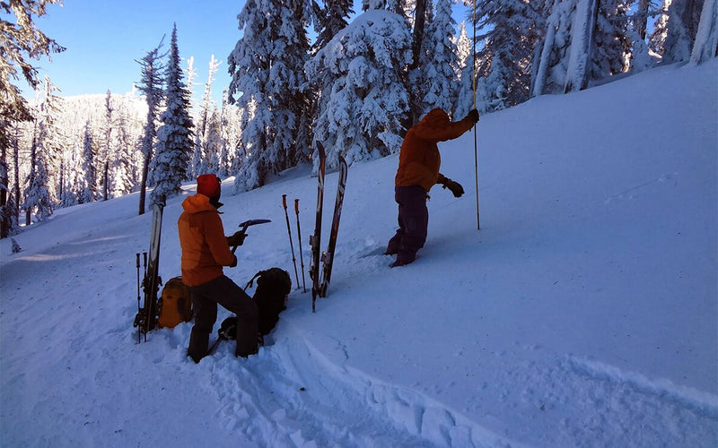 backcountry skiers testing snowpack