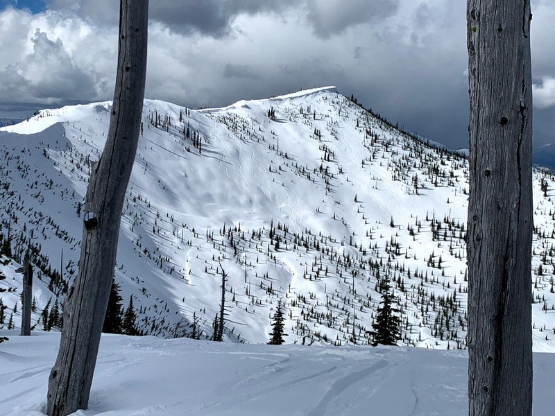 Heli skiing