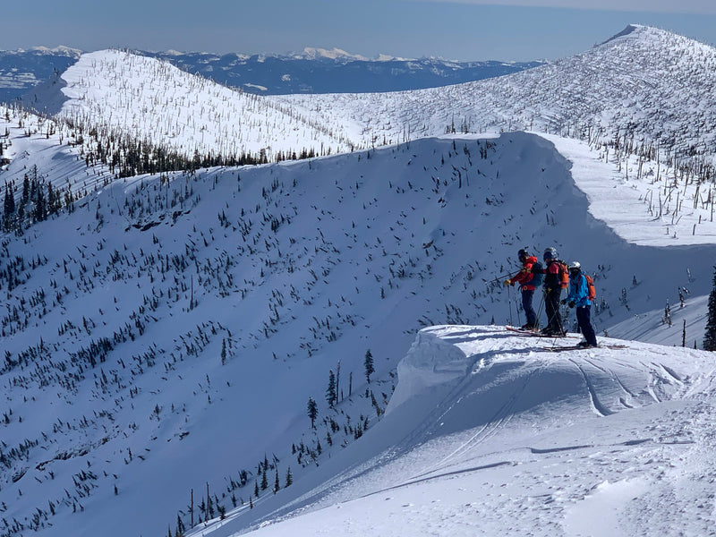 Heli skiing